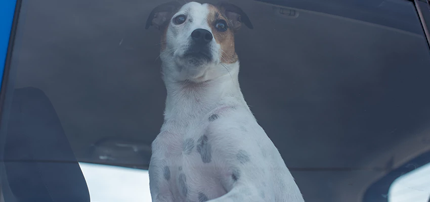 Car Lockout Solutions in Lucerne Valley, California